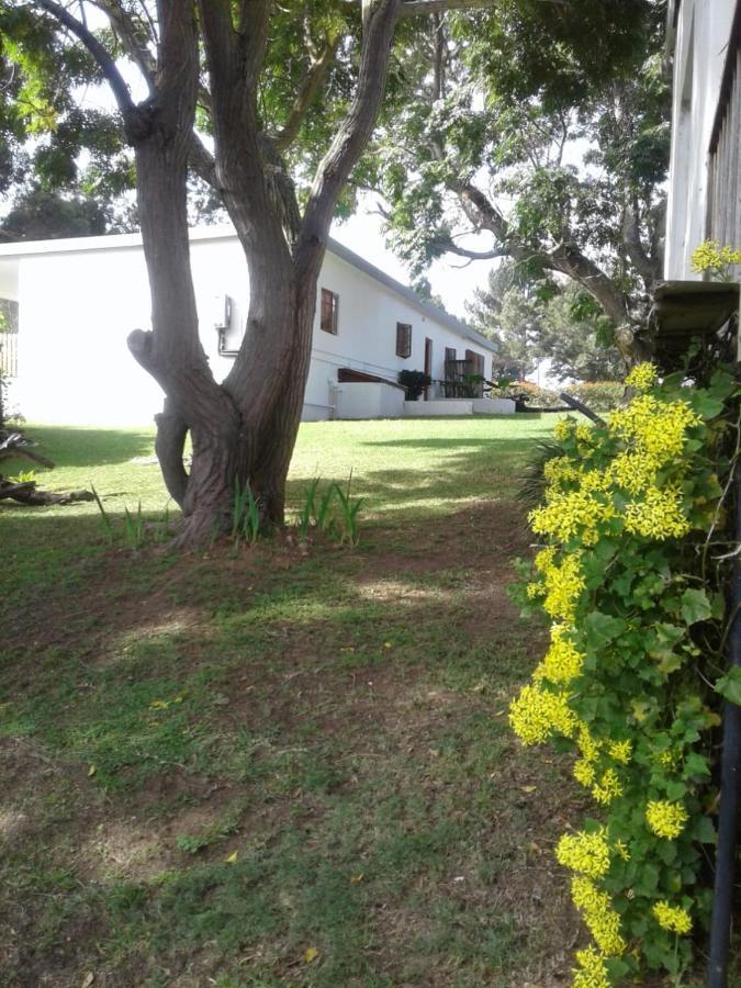 Woodpecker Daire Plettenberg Bay Dış mekan fotoğraf