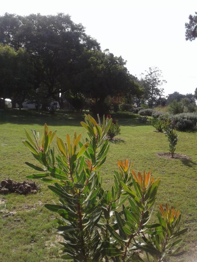 Woodpecker Daire Plettenberg Bay Dış mekan fotoğraf