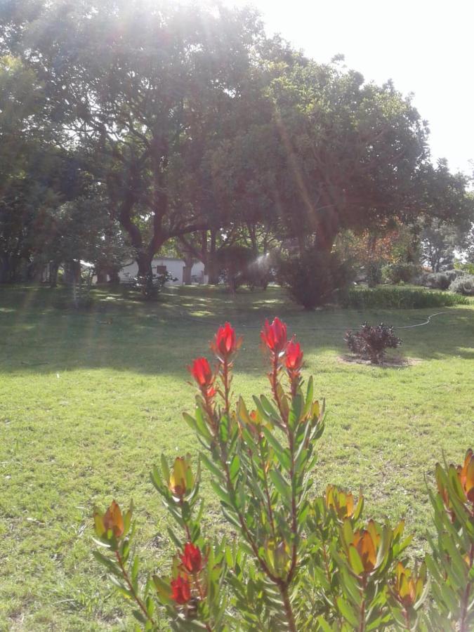 Woodpecker Daire Plettenberg Bay Dış mekan fotoğraf
