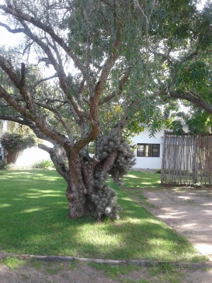 Woodpecker Daire Plettenberg Bay Dış mekan fotoğraf